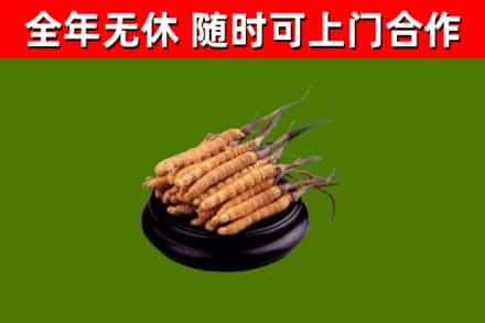 点军区烟酒回收冬虫夏草.jpg